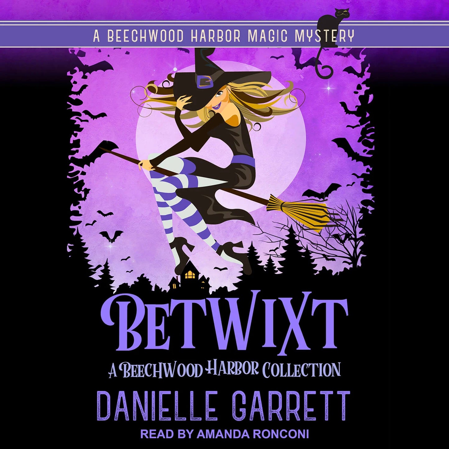 Betwixt: Volume One (audiobook)