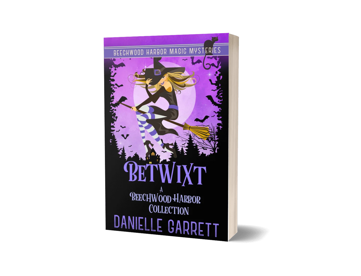 Betwixt: Volume I (paperback)