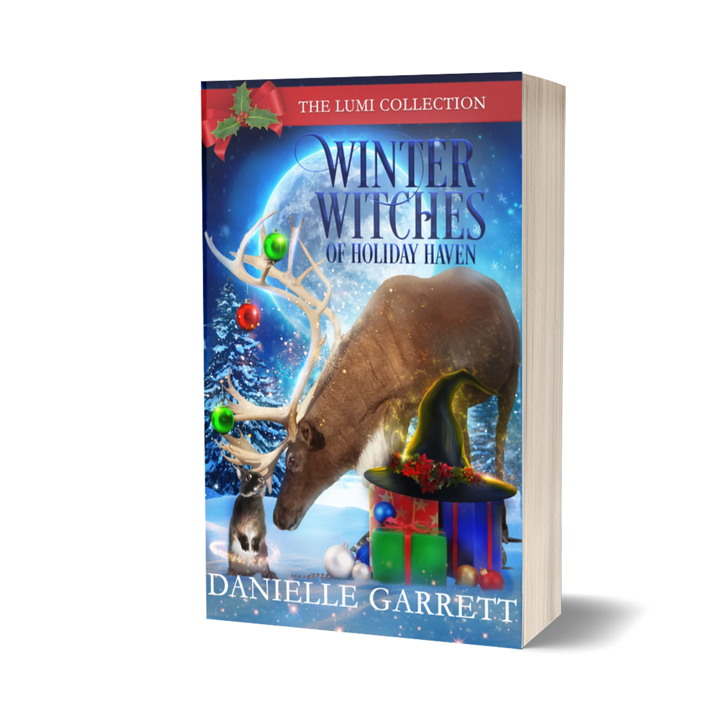 Winter Witches of Holiday Haven: The Lumi Collection (paperback)